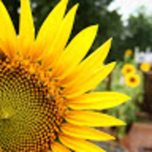 Meet your Posher, Renée